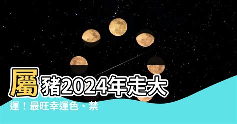 1971豬幸運色|1971豬2024年開運色秘訣